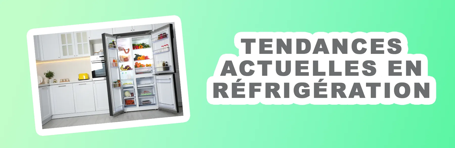 Introduction-Aux-Tendances-Actuelles-En-Refrigeration